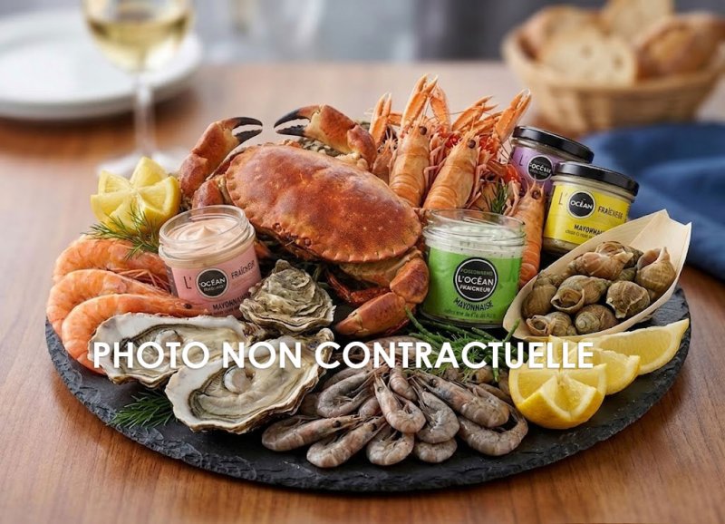 Le Transbordeur